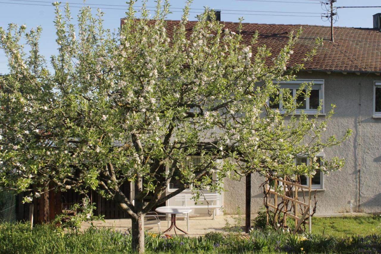 Ferienhaus Giengen Βίλα Giengen an der Brenz Εξωτερικό φωτογραφία