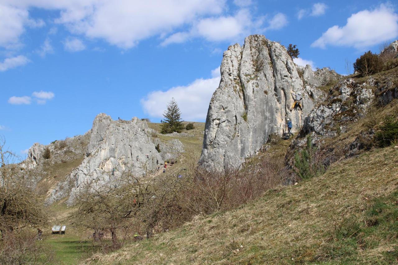 Ferienhaus Giengen Βίλα Giengen an der Brenz Εξωτερικό φωτογραφία